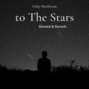 to The Stars (Slowed & Reverb)