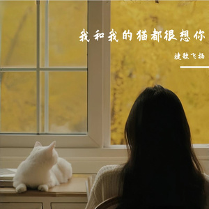 我和我的猫都很想你