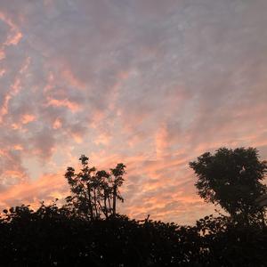 【一彩生贺】余年
