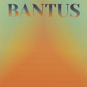 Permanency Agitation