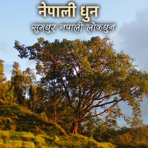 Nepali Folk Flute Music ( सुमधुर नपाली लोकधुनहरु )