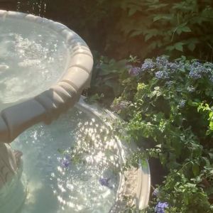 左肩（抖音温柔女声版）