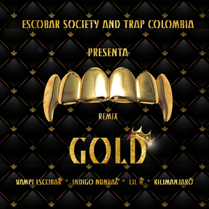 Gold (Remix)