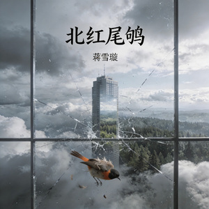 北红尾鸲