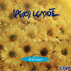 ทาสเทวี