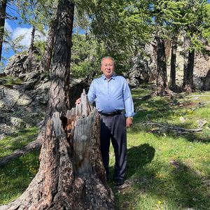 Gul Yashlik 花儿一样的青春