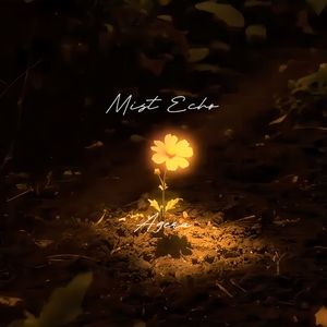 Mist Echo（雾境回响）