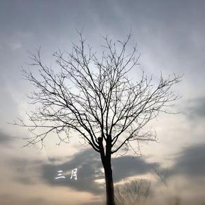三月