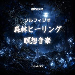 森に降りるやわらかな光