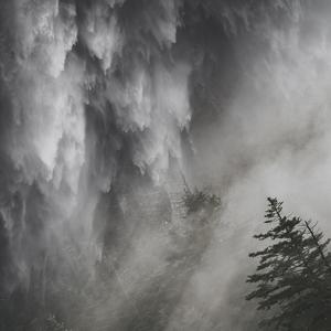 03/08/2019 (Live) (Live)