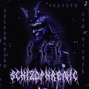 SCHIZOPHRENIC 3 (feat. ShadowStorm & Codelin)