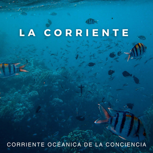 La Brisa De Océano Choca Con Las Rocas