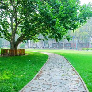 飞向明天——南陵萃英园中学校歌