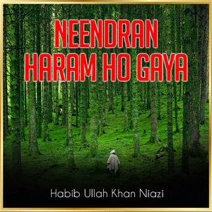 Neendran Haram Ho Gaya