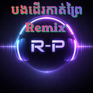 បងដើរកាត់ព្រៃ-Remix