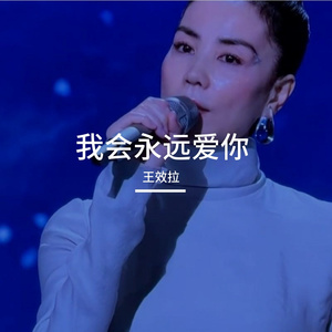 我会永远爱你