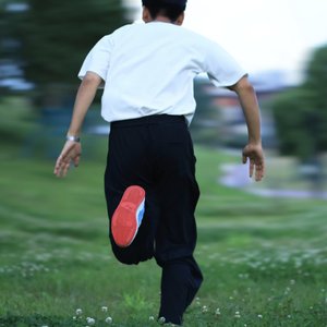 灰烬证词