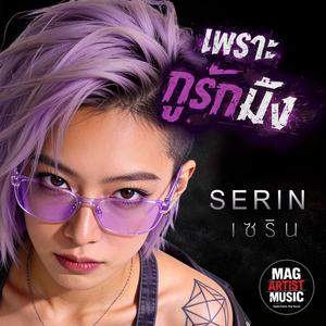 เพราะกูรักมึง ( SERIN)