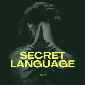 Secret Language