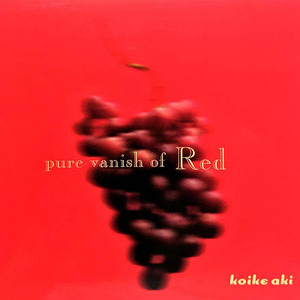 1秒(Instrumental/pure vanish story)