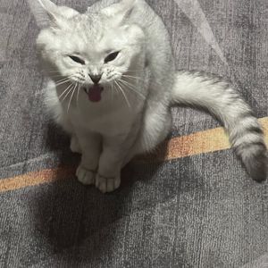 离别的墨迹