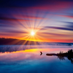 Shall a Summer’s Day