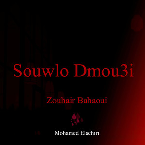 Souwlo Dmou3i
