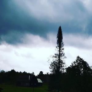 ¿Alguna vez sentiste el viento?