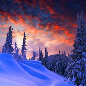 二十四桥明月夜