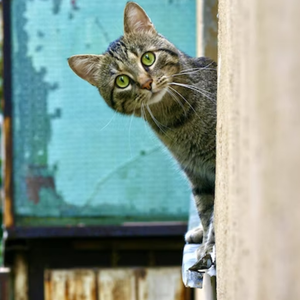 “SAD!” -Lil Uzi Vert X Jersey Club type beat