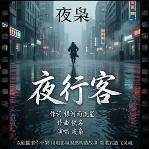 夜枭 - 夜行客