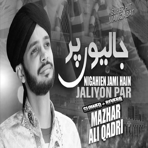 Jaliyon Par Nigahain Jaami Hain Lofi Version