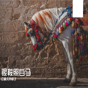 银鞍照白马