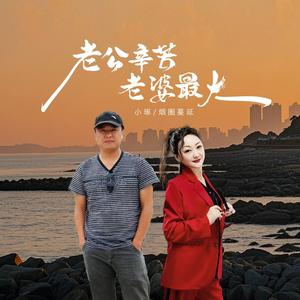 老公辛苦老婆最大