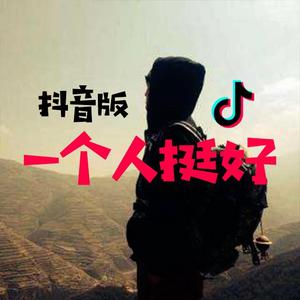 一个人挺好（抖音版）