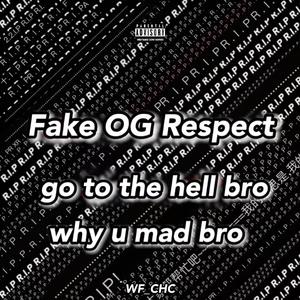 向Fake OG们敬个礼 伴奏