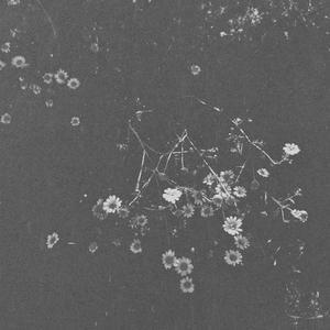 Puy (feat. Gabriel Rosenbach)