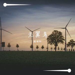 无翼鸟 伴奏
