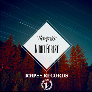 Night Forest