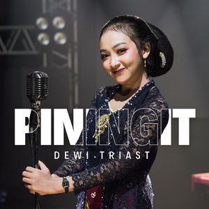 PININGIT (Akustik)