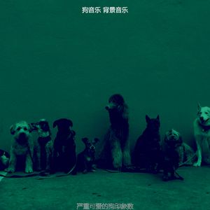 优美可爱的狗器乐