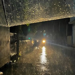 我心里的一场雨一直没停