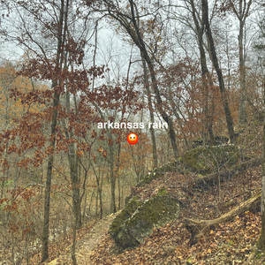 arkansas forest reserve downpour
