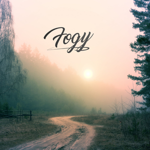 Fogy