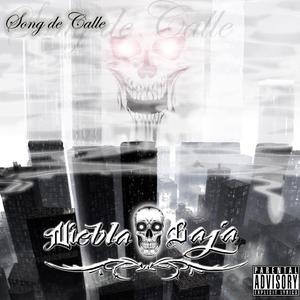 A mi bandera chilena no le hagas rayas