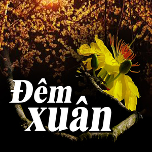 Tìm Em Đêm Giáng Sinh