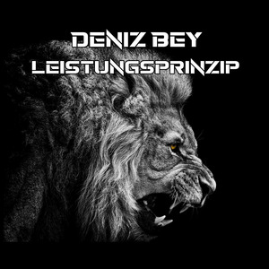 Leistungsprinzip