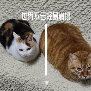 世界不会轻易崩塌