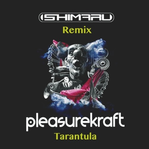 Tarantula (ISHIMARU REMIX)