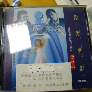 一颗小小的石头